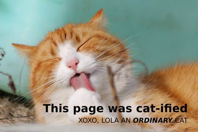 This page was cat-ified. XOXO, Lola an ORDINARY cat